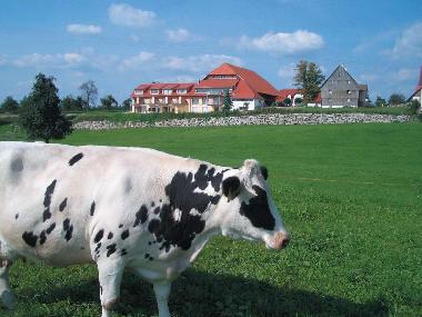 Holiday Apartment in Ravensburg (Lake of Constance) or holiday homes and vacation rentals