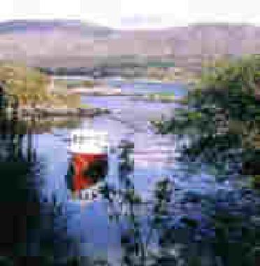 Holiday House in Eyeries (Cork) or holiday homes and vacation rentals