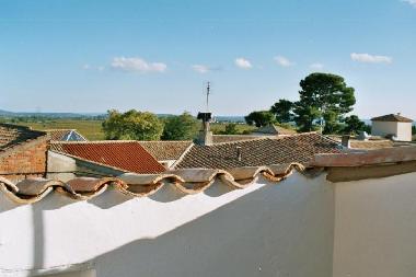 View from the terrace