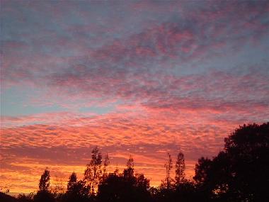 Balmy evening sunsets