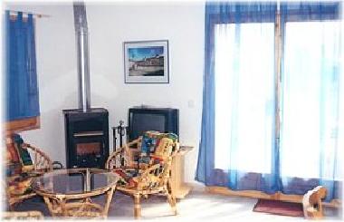 The living-area with fireplace