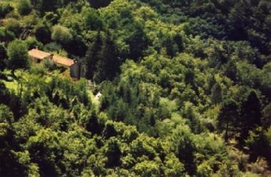 Holiday House in Pescia (Pistoia) or holiday homes and vacation rentals