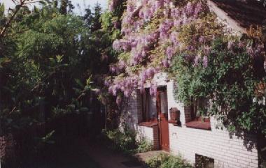 Holiday Apartment in Wisch (Ostsee-Festland) or holiday homes and vacation rentals