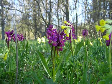 Holiday House in Valdemarsvik (stergtland) or holiday homes and vacation rentals