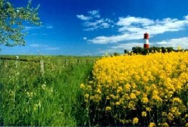 Holiday Apartment in N�belfeld/Steinbergkirche (Ostsee-Festland) or holiday homes and vacation rentals