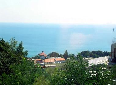 The sea view