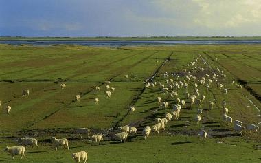 Holiday Apartment in T�nning (Nordsee-Festland) or holiday homes and vacation rentals