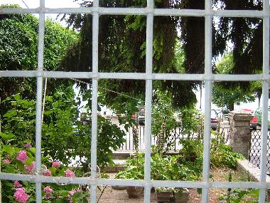 View of the garden from a window