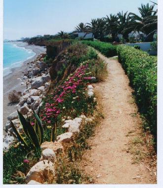 Holiday House in Benicarlo (Castell�n / Castell�) or holiday homes and vacation rentals