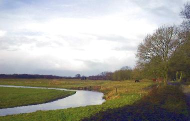 the surrounding