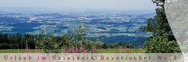Bed and Breakfast in Bischofsmais/Habischried (Lower Bavaria) or holiday homes and vacation rentals