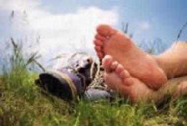 Bed and Breakfast in Bischofsmais/Habischried (Lower Bavaria) or holiday homes and vacation rentals