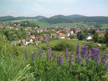 Holiday Apartment in Trusetal (Thuringian forest) or holiday homes and vacation rentals