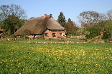 Holiday Apartment in Pinnow (Mecklenburgische Seenplatte) or holiday homes and vacation rentals