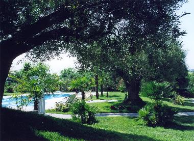 garden and swimming pool