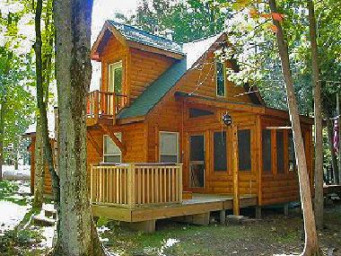 Rustic wilderness cabin