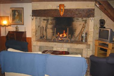 Salon with fireplace, TV, DVD, CD, and library.
