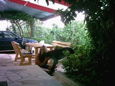 Holiday House in Okrug Gornji (Splitsko-Dalmatinska) or holiday homes and vacation rentals