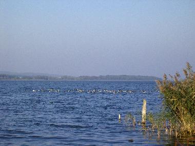 Boat in Dahmen (Mecklenburgische Seenplatte) or holiday homes and vacation rentals