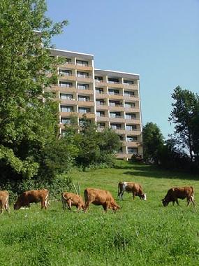 Holiday Apartment in Freyung (Lower Bavaria) or holiday homes and vacation rentals