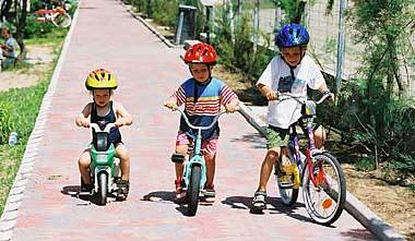 Chalet in Cavallino (Venezia) or holiday homes and vacation rentals