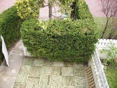 Patio in front of the house