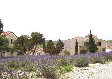 Holiday House in Narbonne-Plage (Aude) or holiday homes and vacation rentals