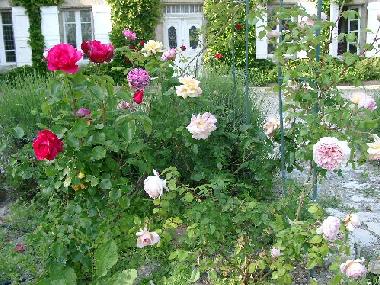 Bed and Breakfast in Laurabuc (Aude) or holiday homes and vacation rentals