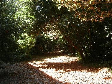 Bed and Breakfast in Laurabuc (Aude) or holiday homes and vacation rentals