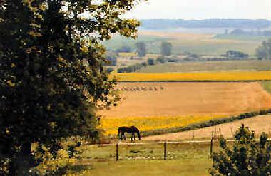 Holiday House in ribrac (Dordogne) or holiday homes and vacation rentals