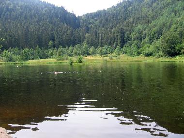 Swimming in natural lakes in between the woods!