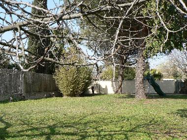 corner of the garden