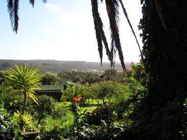 Holiday House in Aljezur (Algarve) or holiday homes and vacation rentals