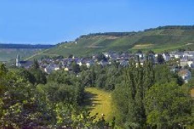 Holiday House in Maring-Noviand (Mosel - Saar) or holiday homes and vacation rentals