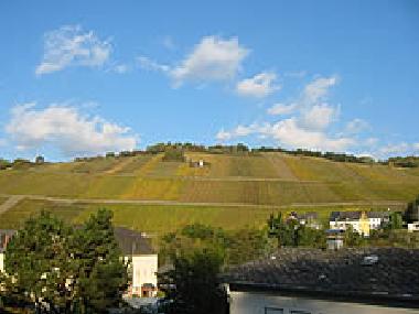 Holiday House in Maring-Noviand (Mosel - Saar) or holiday homes and vacation rentals