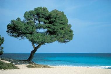 Chalet in COLONIA SANT PERE (Mallorca) or holiday homes and vacation rentals