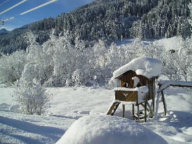 Holiday Apartment in Kleinarl (Pinzgau-Pongau) or holiday homes and vacation rentals