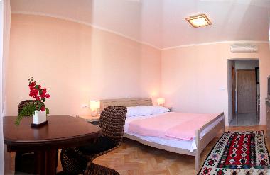 Holiday Apartment in Dubrovnik (Dubrovacko-Neretvanska) or holiday homes and vacation rentals