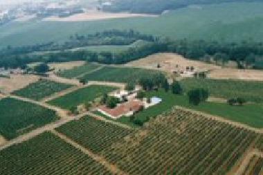 Bed and Breakfast in saint emilion, bordeaux,bergerac (Gironde) or holiday homes and vacation rentals