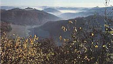 Holiday House in Marsberg (Sauerland) or holiday homes and vacation rentals