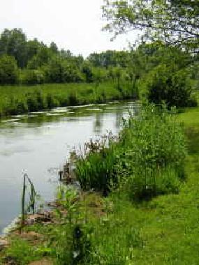 The river running through the garden