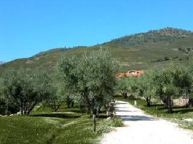 entrada a LA SAYUELA