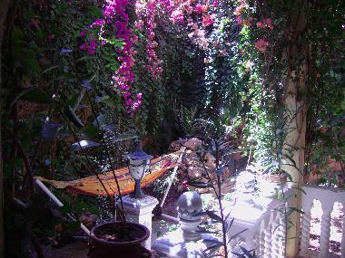 Holiday House in Marrakech (Marrakech) or holiday homes and vacation rentals