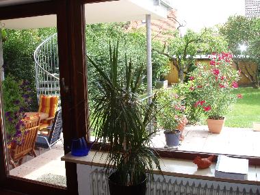 View from the sitting-room downstairs to the garden