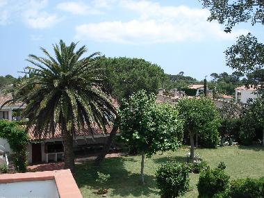 View from the roof-terrace
