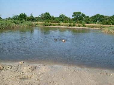 Holiday House in Wittmund - Kollrunge (Nordsee-Festland / Ostfriesland) or holiday homes and vacation rentals