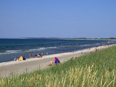 Holiday Apartment in Dierhagen  (Fischland-Dar-Zingst) or holiday homes and vacation rentals