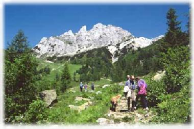 Holiday Apartment in Hermagor (Oberk�rnten) or holiday homes and vacation rentals