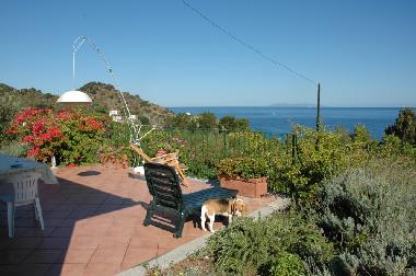 Holiday House in S. Andrea (Livorno) or holiday homes and vacation rentals