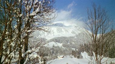 Holiday Apartment in Russbachsaag 150 (Salzburg und Umgebung) or holiday homes and vacation rentals